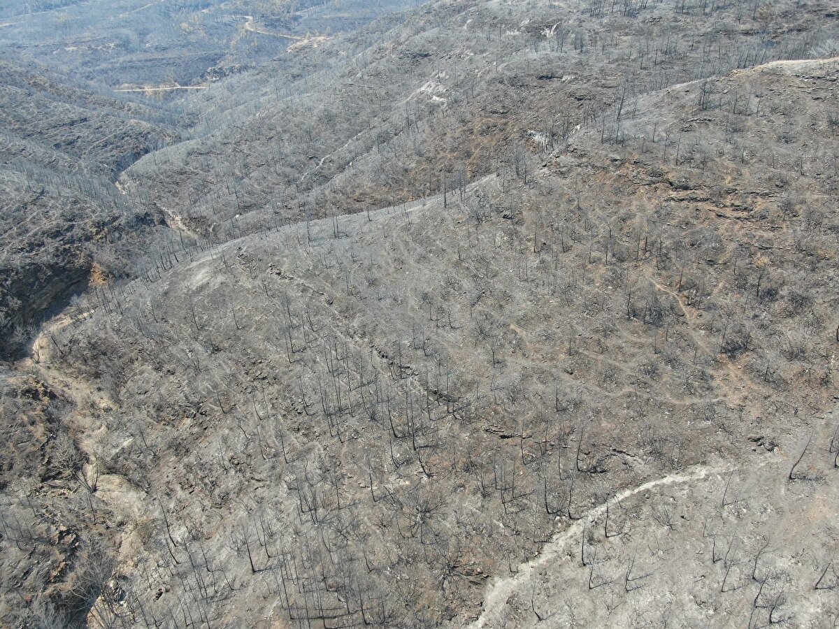 Simsiyah bir renkle kaplı olan alanda, sadece yanmayan birkaç alan ve yolların ayırt edilebildiği görüldü.
