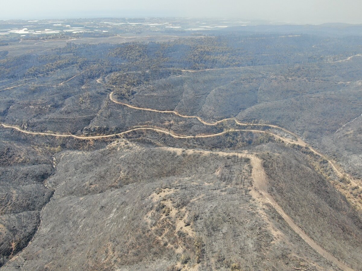 Yangın ilçe merkezinden yaklaşık 45 kilometre uzaklıkta sarp kayalık alanda etkisini sürdürürken, yanan alanlar havadan drone ile görüntülendi.