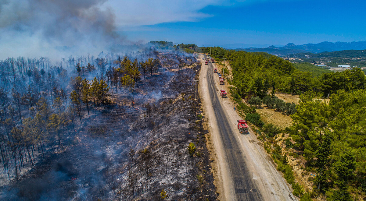 Isparta Belediyesi İtfaiye Müdürü Erkan Er'in katıldığı yangın söndürme çalışmalarından kareler;
