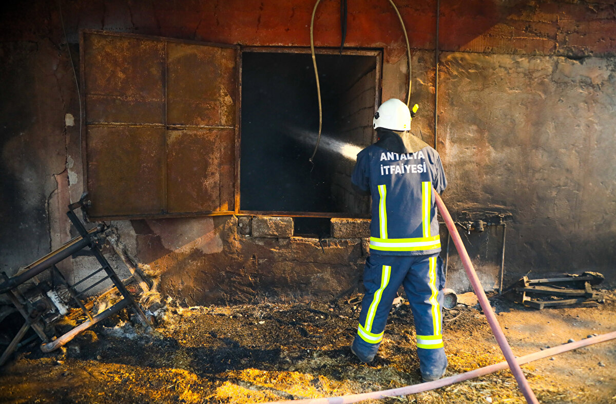 Isparta Belediyesi İtfaiye Müdürü Erkan Er, ekiplerin 7/24 yangınla mücadele edip, hiçbir şeyden çekinmediğini, tüm insani ihtiyaçların ikinci planda olduğunu söyledi. Er, “Burada tek amacımız var o da yangını kısa sürede söndürmek. Biz ormana müdahale edemiyoruz. Ancak amacımız yerleşim yerlerine yangının ulaşmaması. Ekiplerimiz hiç durmadan çalışıyor. Üzerlerinde kıyafetleriyle birlikte yatıp uyuyanlar oldu. 1 hafta önce evlenen ve izinde olan Ahmet Davşan arkadaşımız afeti duyunca çıkıp geldi. 'Neden geldin?' dedim. 'Bana asıl şimdi ihtiyaç var' dedi. Türkiye'nin her yerinden gelen ekipler hiç durmadan mücadele ediyor. Yangını söndüreceğiz" dedi.