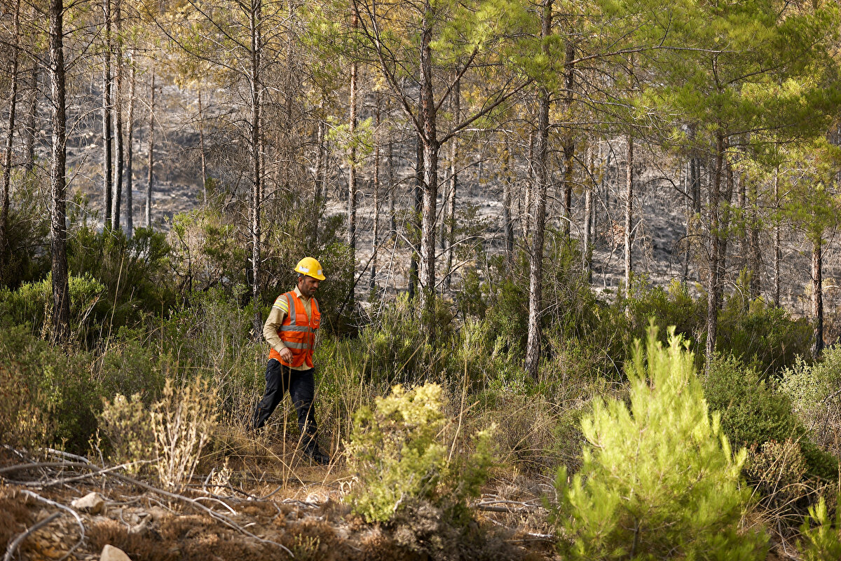 Kaya'nın 1 hafta ayağının üzerine basmaması gerektiğinin bildirilmesi üzerine AFAD gönüllüsü kardeşi Mehmet Kaya, ağabeyinin yerine aynı ekiple yangın söndürme çalışmalarına katıldı.