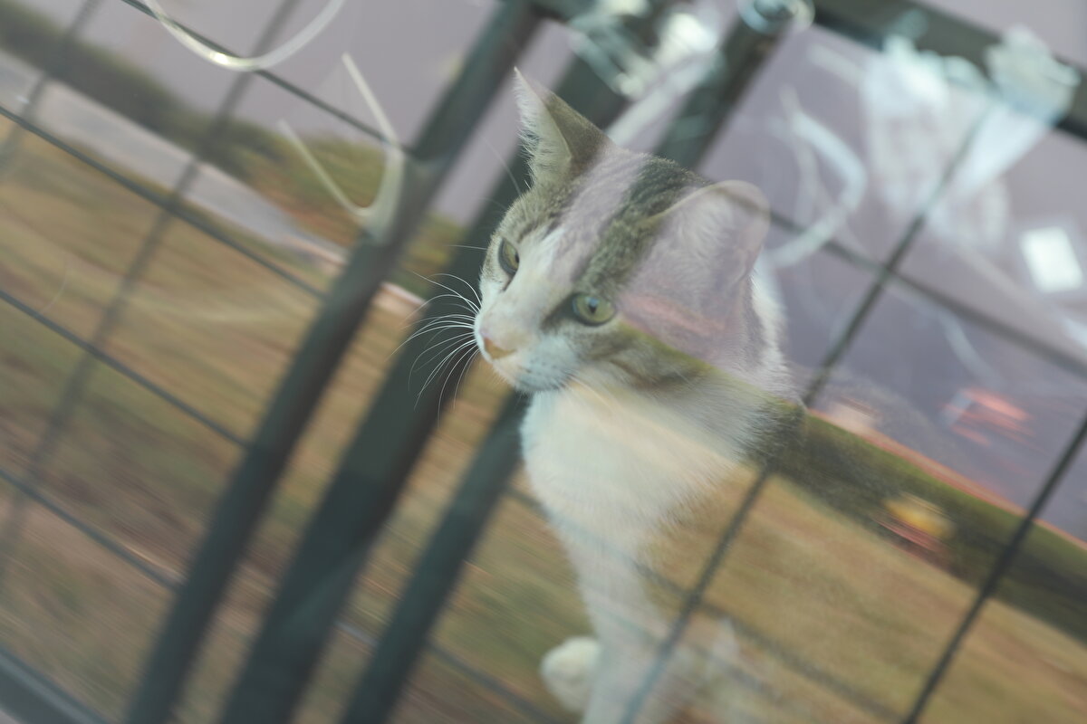 Bir sitenin sakinleri, evlerinden ayrılmak zorunda kaldı.  