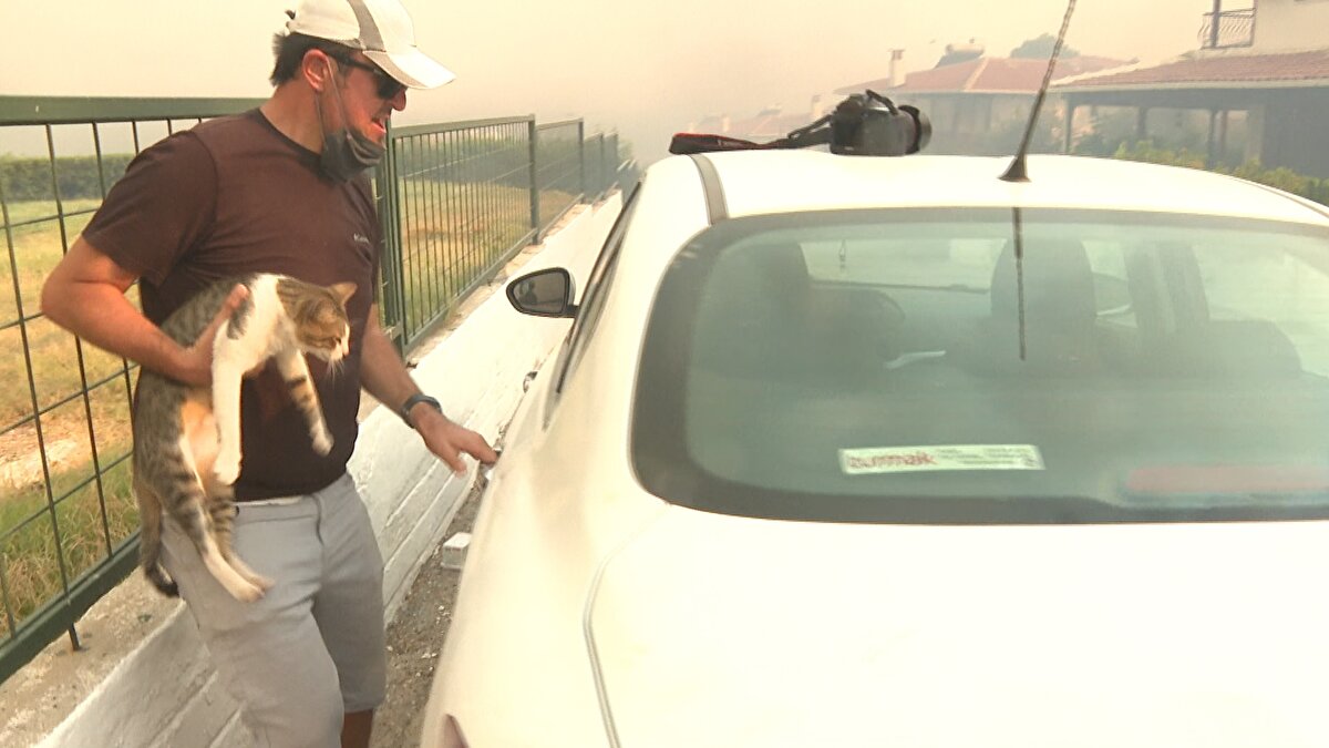 Yoğun dumanların sardığı sitenin balkonunda mahsur kalan kediyi gazeteciler kurtardı.  