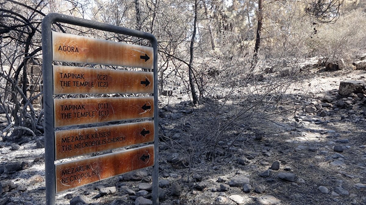 Manavgat'ta 28 Temmuz Çarşamba günü saat 12.05'te başlayan orman yangınlarında 7 kişi hayatını kaybetti, çok sayıda kişi yaralandı ve binlerce hayvan öldü. İlçenin Bucakşeyhler Mahallesi'nde yer alan Lyrbe Antik Kenti de yangınlardan etkilendi.