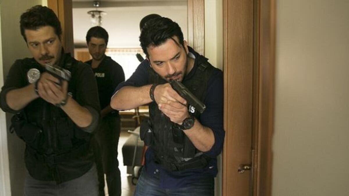 Erler Film’ın yapımı olan Arka Sokaklar dizisinde Ali rolünü canlandırdı. Dizide Keskin Nişancı-Komiser rolündeydi.