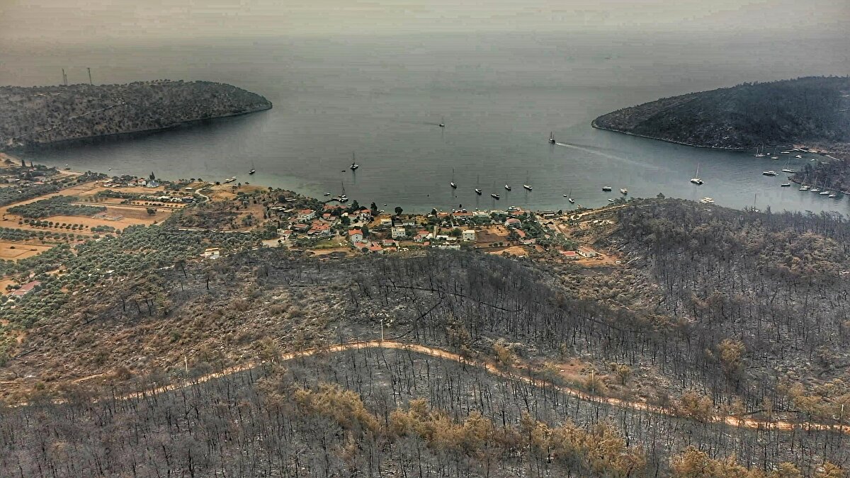 Muğla'nın Bodrum ve Milas ilçelerindeki yangınlarda zarar gören ormanlık alanlar drone ile havadan görüntülendi.

