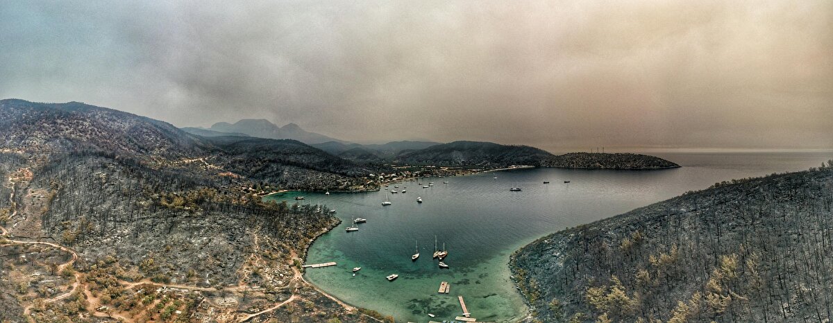 Bodrum Bisiklet Kulübü Başkanı Emrah Tezer tarafından çekilen görüntü ve fotoğraflardaki, geçmişte yemyeşil olan binlerce hektar alanın kapkara hali yürekleri dağladı.

