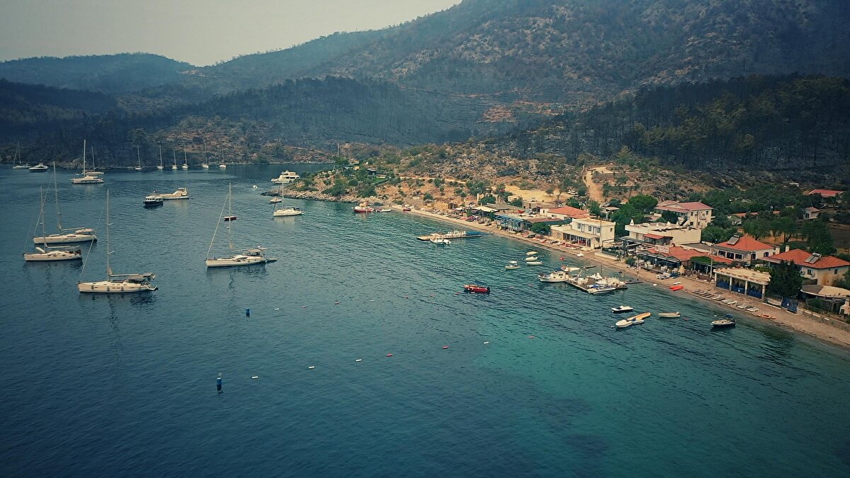 Yangın felaketinin yaşandığı Aşağı Mazı, Çökertme Sahili, Çökertme Köyü, Gökbel Yokuşu, Mazı İnce Yalı, Yeniköy, Yukarı Mazı bölgelerini görüntüleme amaçlı 6 gün dolaştığını belirten Tezer, şunları ifade etti:

