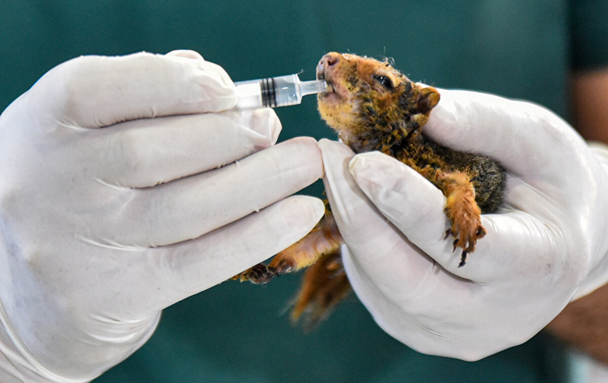 Sincabın yemek yiyemediğini ve nefes almakta zorluk çektiği belirtildi.