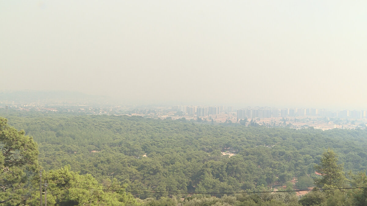 Manavgat ilçesi Hatipler Mahallesi'ndeki ormanlık alanda yükselen alevler, rüzgarın etkisiyle kısa sürede yayıldı.
