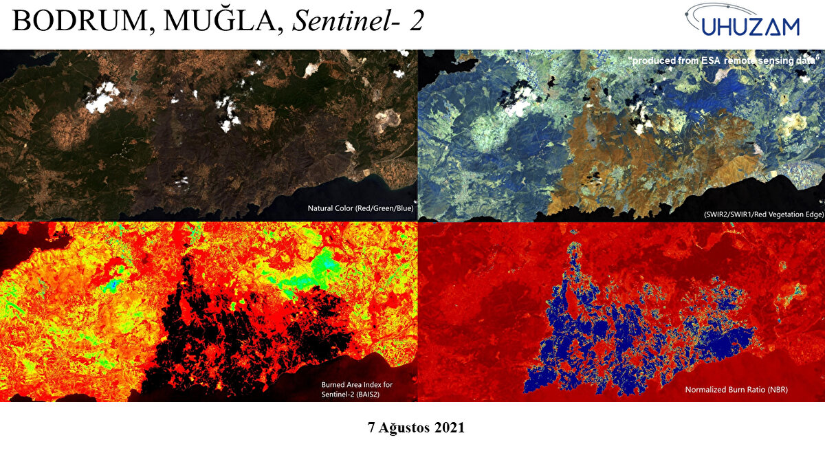 Akdeniz ve Ege Bölgesi'nde yangınlar çıkınca oluşan tahribatı tespit etmek için çalışma başlattıklarını belirten Yanalak, Çalışmalarda özellikle yangınların çok olduğu 2 bölgeye yoğunlaştık. Çalışmalara göre, dünya genelinde olan yangınlara paralel olarak ülkemizdeki yangınlarda bir artış görülmekte. Özellikle, 2-9 Ağustos'ta Türkiye'de orman yangınları oldu" dedi.
