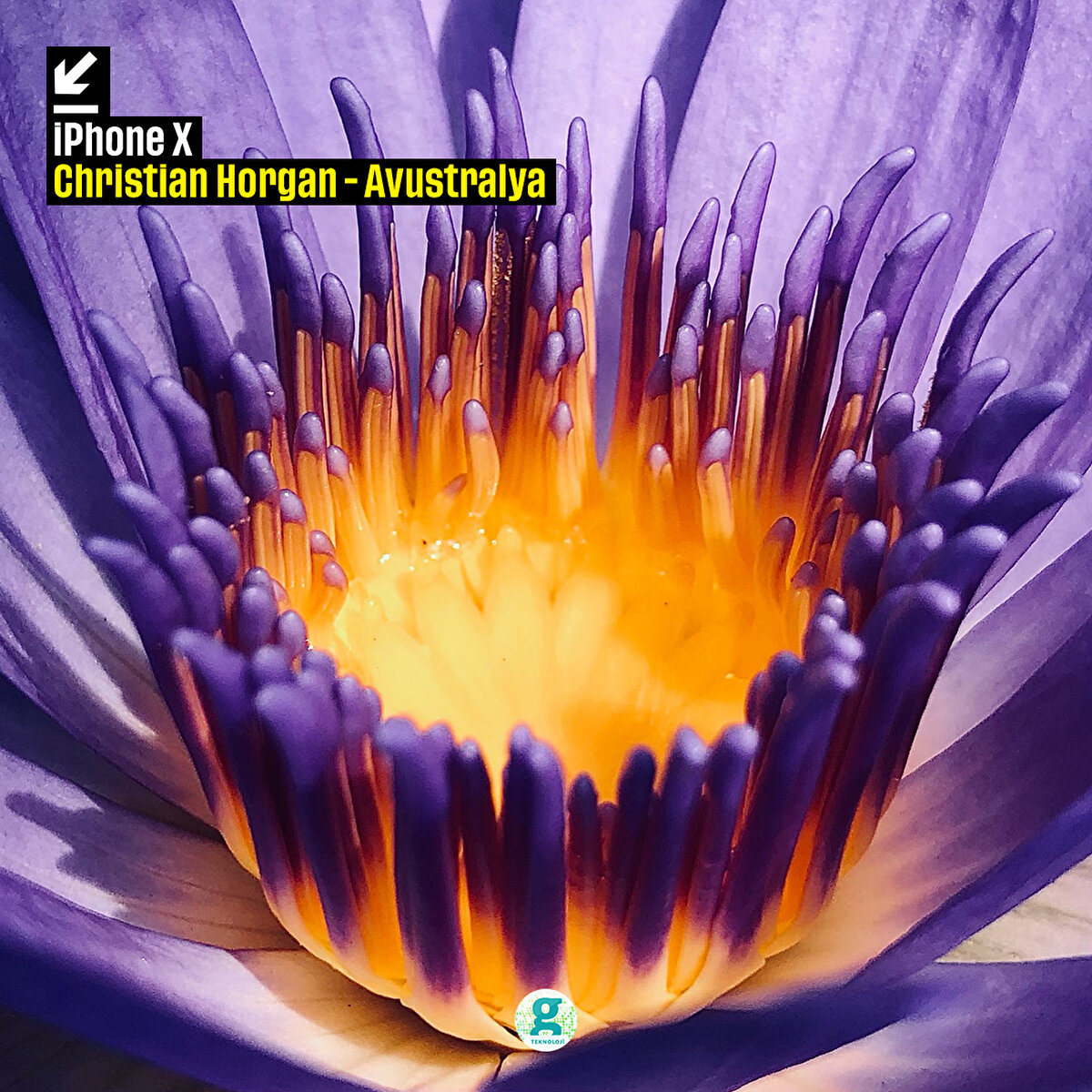 iPhone X | Christian Horgan - Avustralya