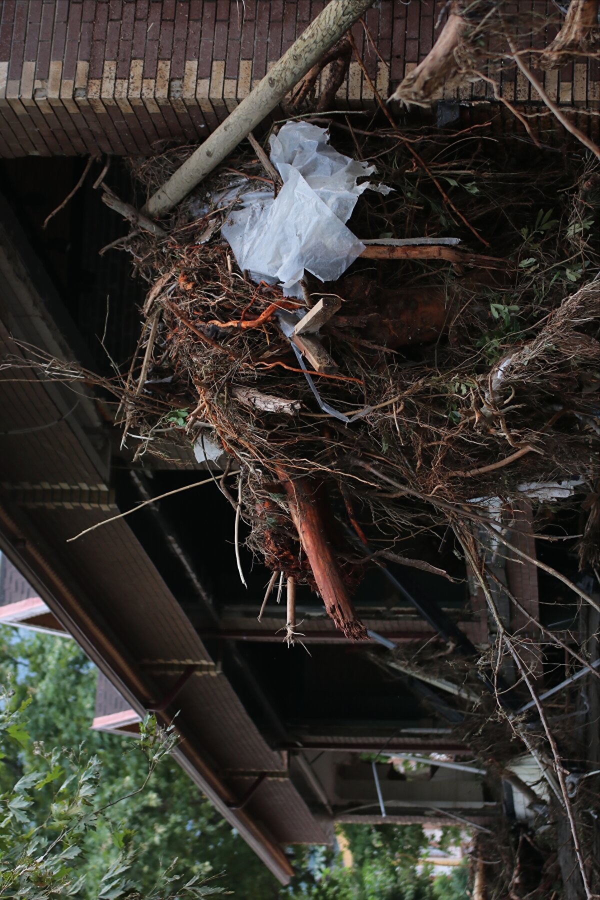 İçişleri Bakanı Süleyman Soylu ile Çevre ve Şehircilik Bakanı Murat Kurum, dün gece Kastamonu'nun Bozkurt ilçesinde yaşanan sel felaketinin ardından incelemelerde bulundu. Bakan Soylu, sel felaketiyle ilgili, Benim gördüğüm en ağır sel felaketi burası, Dereli'de karşı karşıya kaldığımız felaketin 5 misli diyebiliriz ifadelerini kullandı.