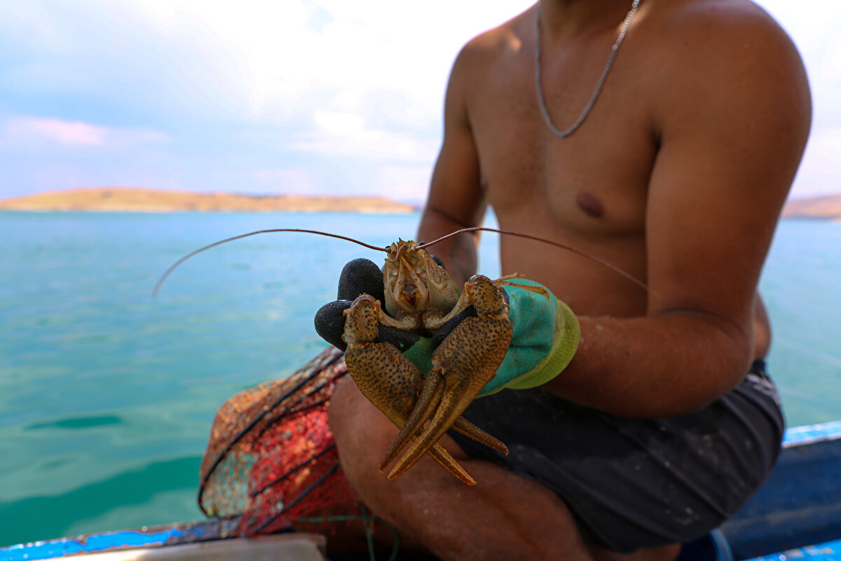 Pandemi sürecinde kalabalıktan kaçarak buraya geldim. Balıkçılık yapmaya başladım. 1 Temmuz’dan eylüle kadar sürüyor. Bir adada kalıyordum, suyun yükselmesinden dolayı ada su altında kaldı.