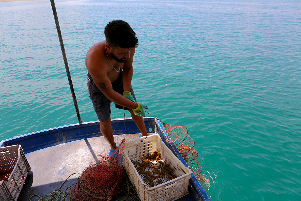 Demir, Türkiye’nin en büyük ikinci, doğal göller arasında 675 kilometrekarelik alanıyla da 3'üncü sırada yer alan, Keban Baraj Gölü’nde kereviti, kiraladığı baraj sahasına giderek avlıyor.