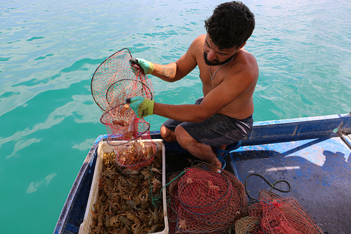Toptancılara satılan kerevitler de Isparta'daki tesislere gönderilerek, orada işlendikten sonra Avrupa'nın birçok ülkesine ihraç ediliyor. Teknesinde hem huzurlu hem de ekonomik olarak çok iyi olduğunu dile getiren Demir, avlanma sürecini şöyle anlattı: