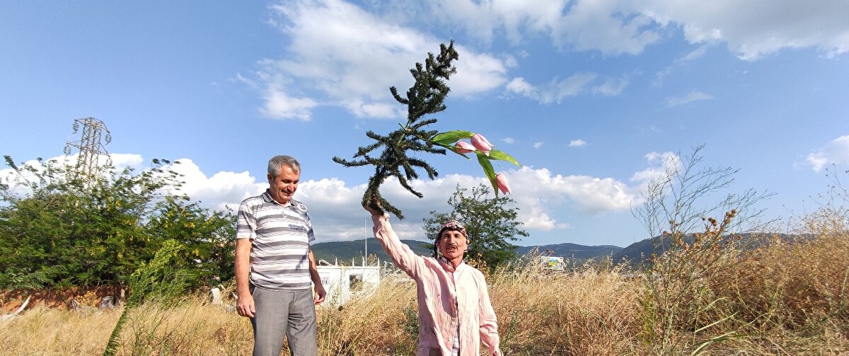 Vatandaşları fidan dikmeye teşvik etmek için böyle bir gösteriye imza attığını ifade eden Bahtiyar Keskin, "Çıkan yangınlarla ormanlarımız kül oldu. Yeşilimiz griye döndü. Ben de fidan dikimine teşvik etmek için kendimi toprağa gömerek dikkat çekmek istedim. Ne kadar çok fidan dikilirse ülkemiz o kadar yeşil ve güzel olur. Herkesi fidan dikmeye davet ediyorum" dedi.