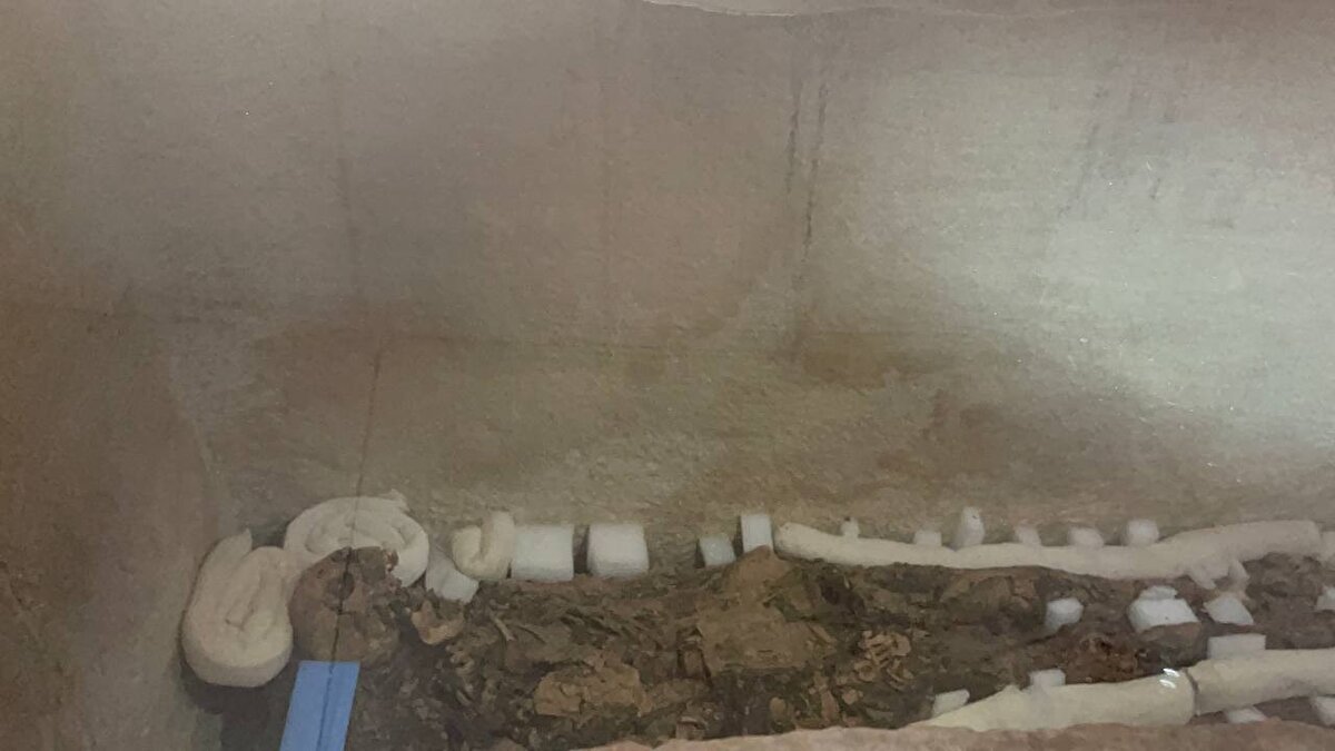 Milletvekili Hakan Çavuşoğlu, dünya tarihe ışık tutacak olan İznik'in yeni arkeoloji müzesinin önümüzdeki yıllarda hizmete gireceğini ifade etti.