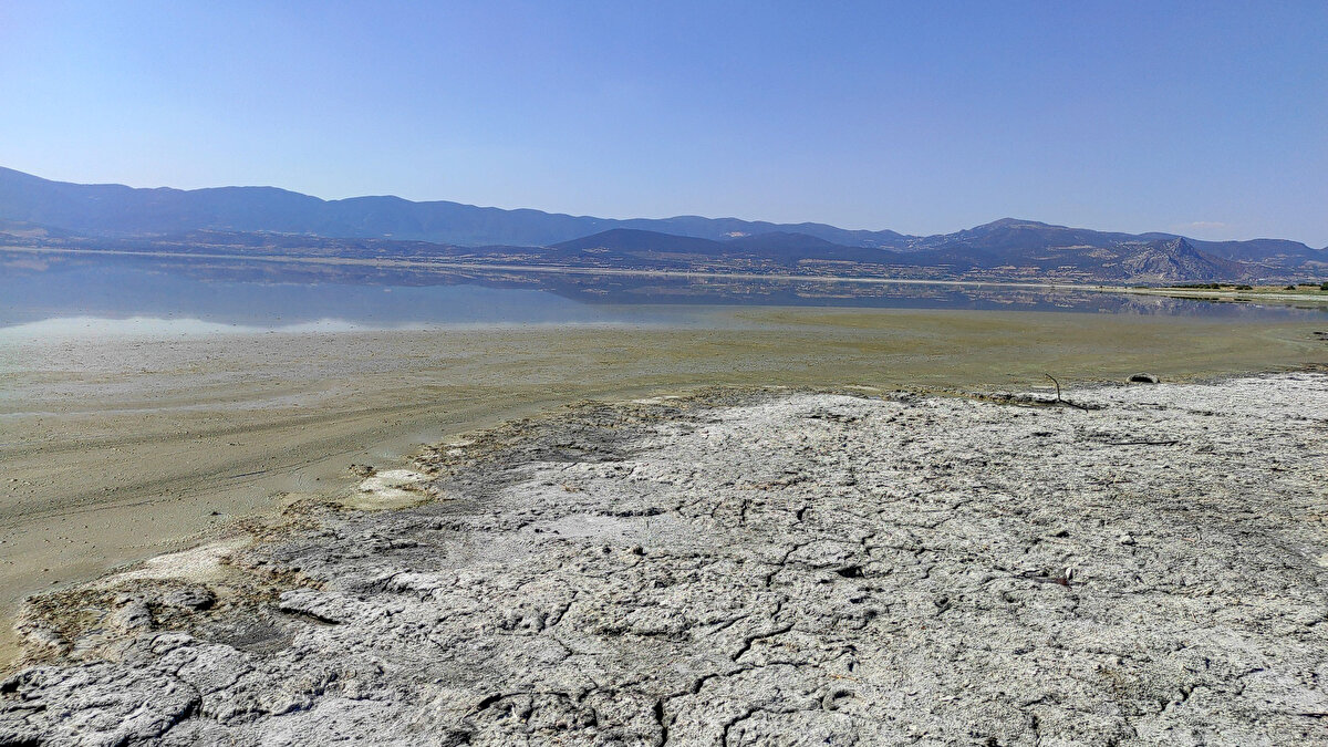 Burdur Gölü’nün rengi alg patlaması nedeniyle yer yer kahverengi ve sarıya döndü. Daha önce nisan ve haziran aylarında da yaşanan alg patlamasına siyanobakterilerin neden olduğu belirtildi.