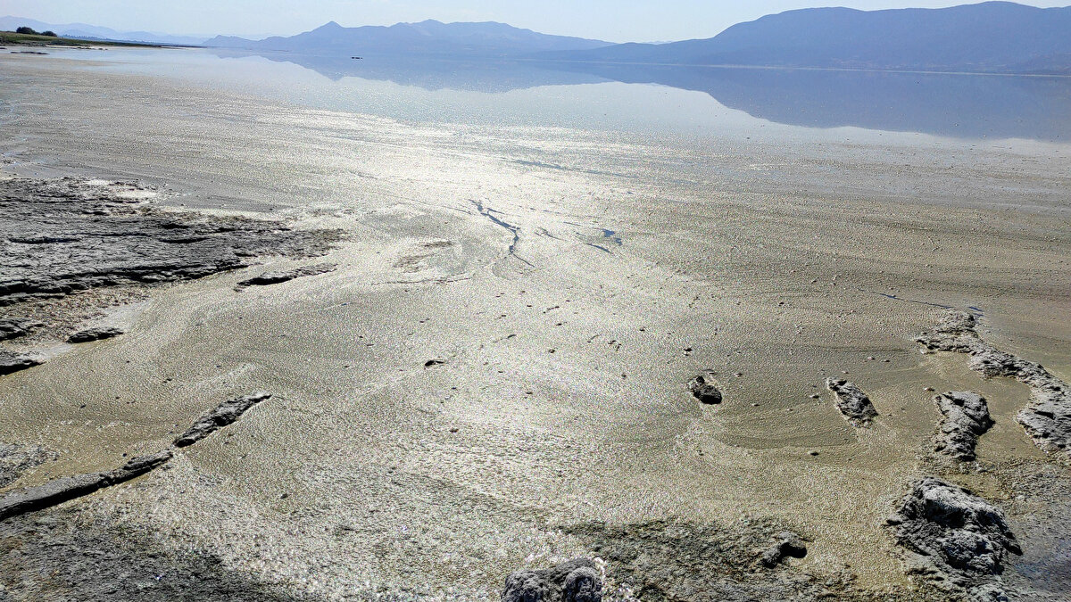 Uzmanlar, gölde yaşanan ve bir tür bakteri olan Nudularia spumigenadan (Siyanobakteri) kaynaklanan bu olayın balıklar ve diğer canlılar açısından doğrudan (zehir etkisi olarak) bir etkisinin olmadığını, ancak göldeki kirlenmeye ve su kalitesindeki bozulmaya işaret etmesi bakımından önemli olduğunu belirtti.