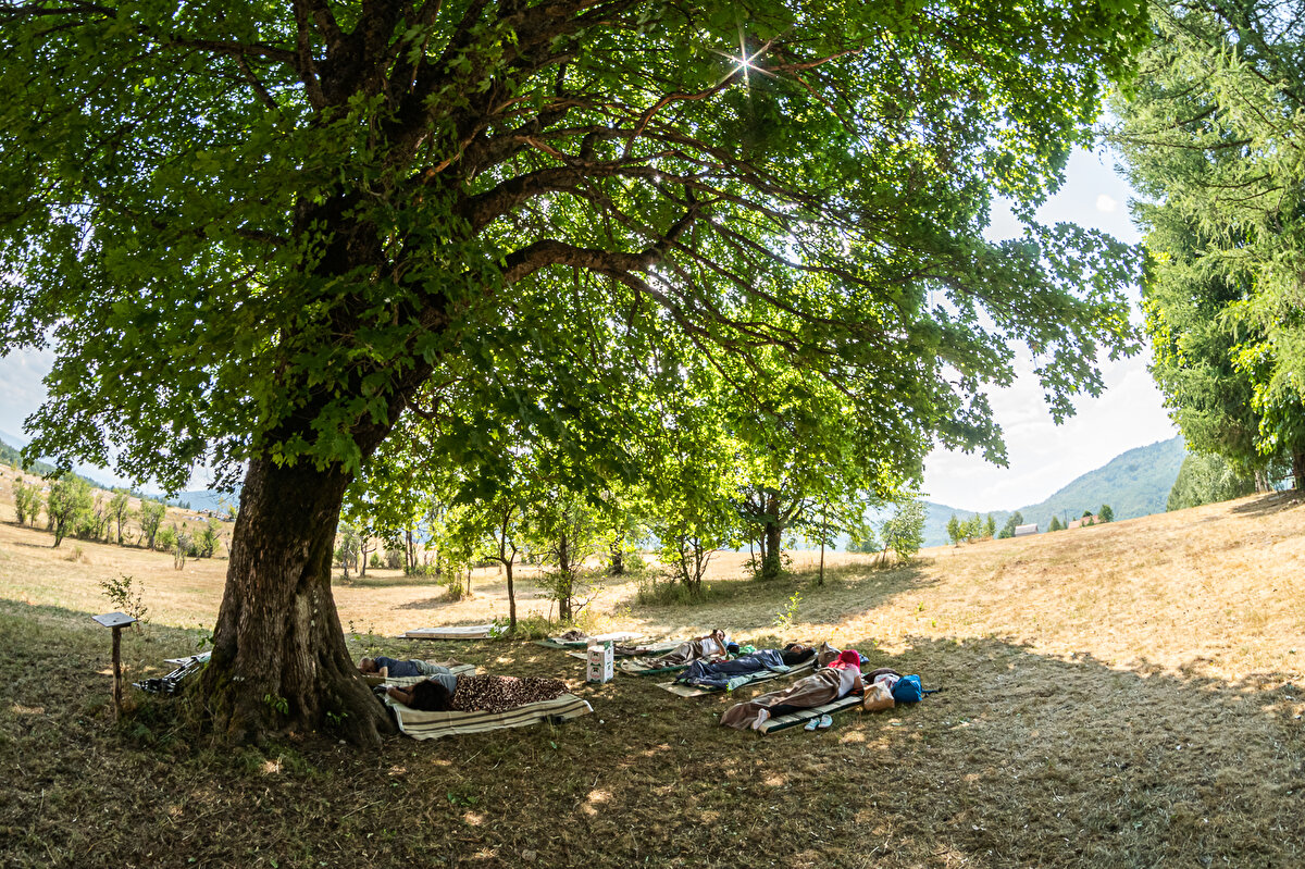 Yarışmaya ilk kez katılan Marko da doğada vakit geçirmeyi sevdiğini belirterek, "Öncelikle eğlenceli vakit geçirmek için katılıyorum, ancak para ödülü de gözardı edilmemeli." şeklinde konuştu.

Başkent Podgoricalı yarışmacı Duda da "Dinlenmek için geldim ama para ödülünü de almak isterim. Kazanan 300 Euro'luk ödülün sahibi oluyor, bu az para değil" dedi.
