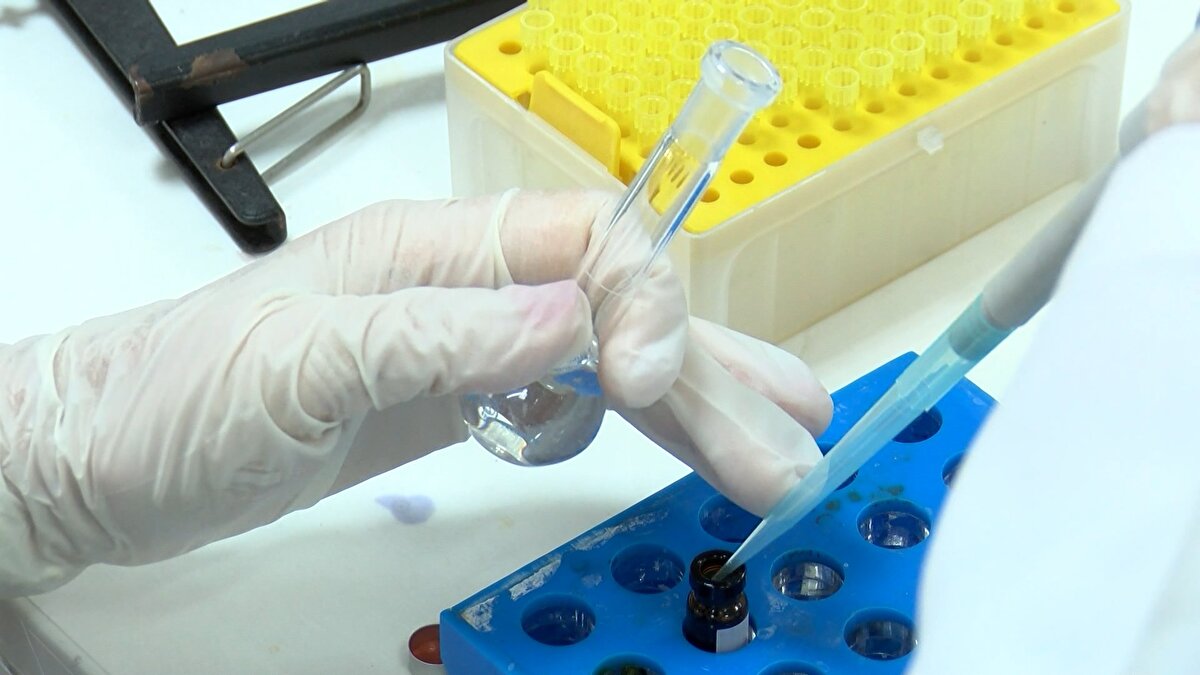 Çocukların renkli ve kokulu ürünleri daha dikkat çekici bulduğunu belirten Çamlıca Medipol Üniversitesi Hastanesi'nden Çocuk Sağlığı ve Hastalıkları Uzm. Dr. Akif Çelik, Fitalat dediğimiz madde özellikle kokulu silgilerde, kalemlerde olabiliyor. Fitalat, endüstride plastik ürünlerde şekil vermek için kullanılır ve kokuyu daha fazla muhafaza ederler. Bu yüzden silgilerde daha çok kullanılıyor. Bunlar zararlı olabiliyor. Astım olabiliyor, alerji olabiliyor. Çocuklar ciğerlerine çekebiliyor ya da çiğneyip yutabiliyorlar. Hormonal bozukluk yarattıkları için erken ergenliğe neden olabiliyorlar. Alerjik reaksiyon yapabiliyorlar, karaciğer enzimlerini yükseltebiliyorlar ve ileri dönemde de kanserojen olabiliyorlar. Bunları içermeyen ya da minimum ve standartlara uygun şekilde olmasına dikkat etmemiz gerekiyor şeklinde konuştu.