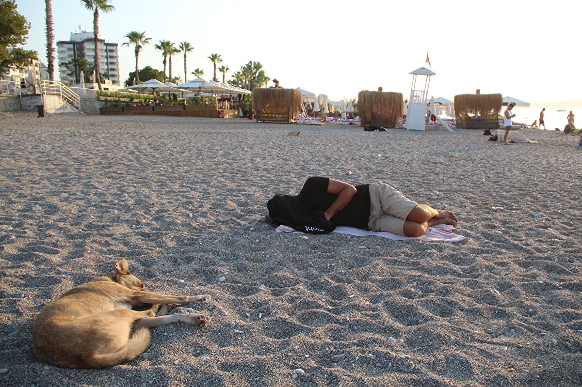 Bir kişinin köpekle uyuması da renkli görüntüler oluşturdu. Sıcak hava ve nemden dolayı gecenin ilerleyen saatlerinde sahile gelen vatandaşlar buldukları her noktada uyumayı tercih etti.
