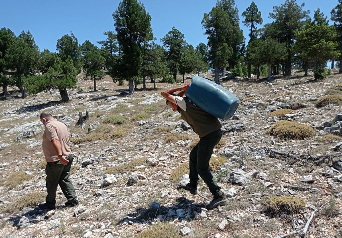 Özellikle bozayı, yaban keçisi, vaşak, yaban domuzu, tilki, porsuk, kınalı keklik gibi türlerin yalaklaların bulunduğu alana gelerek su içmesi fotokapan görüntülerine yansıdı.
