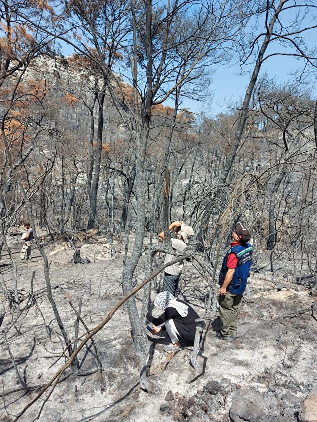 Yangınlar sırasında yaralanan ve tedavi altına alınan yaban hayvanları ilerleyen günlerde doğaya bırakılacak.

