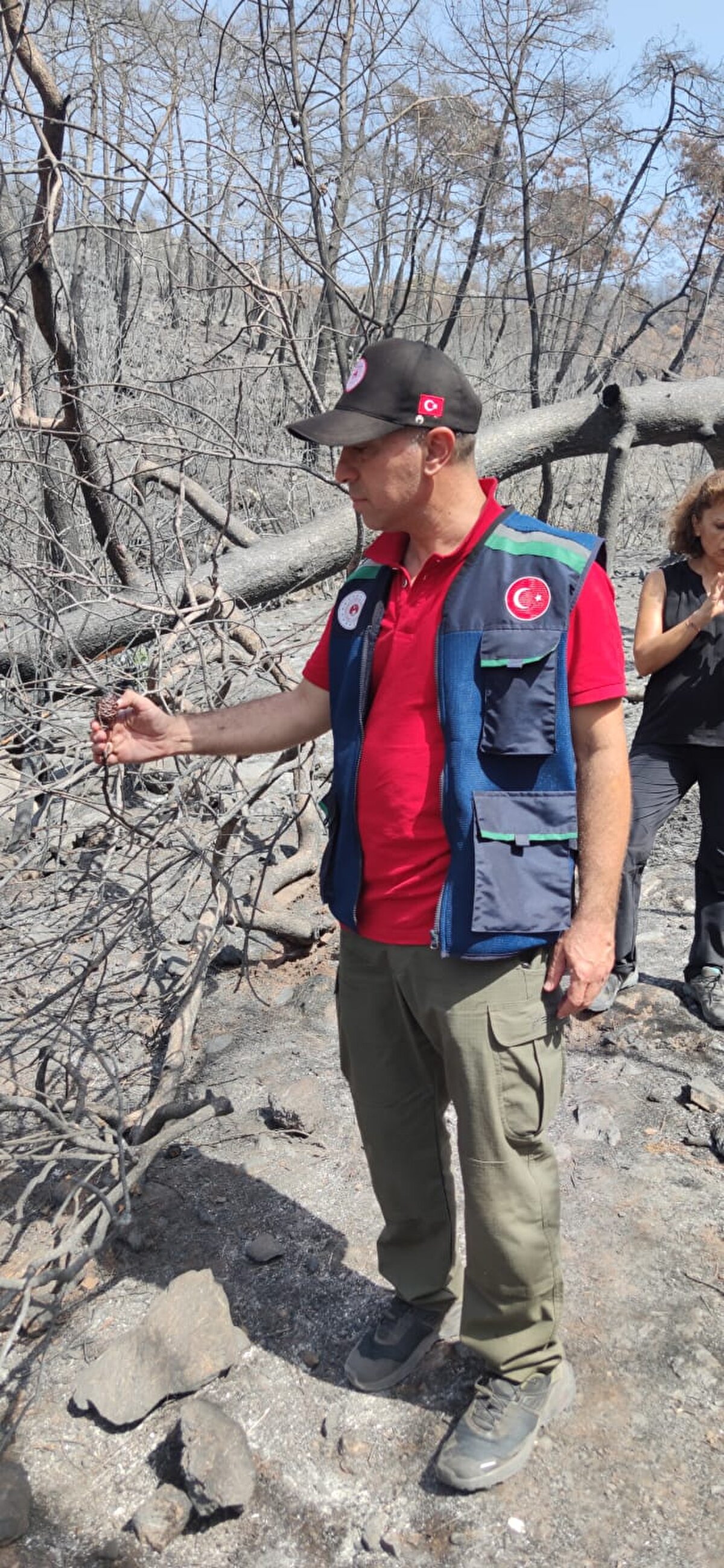 Çalışmalar sonucunda orman alanlarında yapılacak rehabilitasyon uygulamalarına dair detaylı raporlar hazırlanacak, tohum durumlarına göre yapılacak işlemlere karar verilecek ve çalışma sonuçları ilgili bakanlık ve kurumlarla paylaşılacak.

