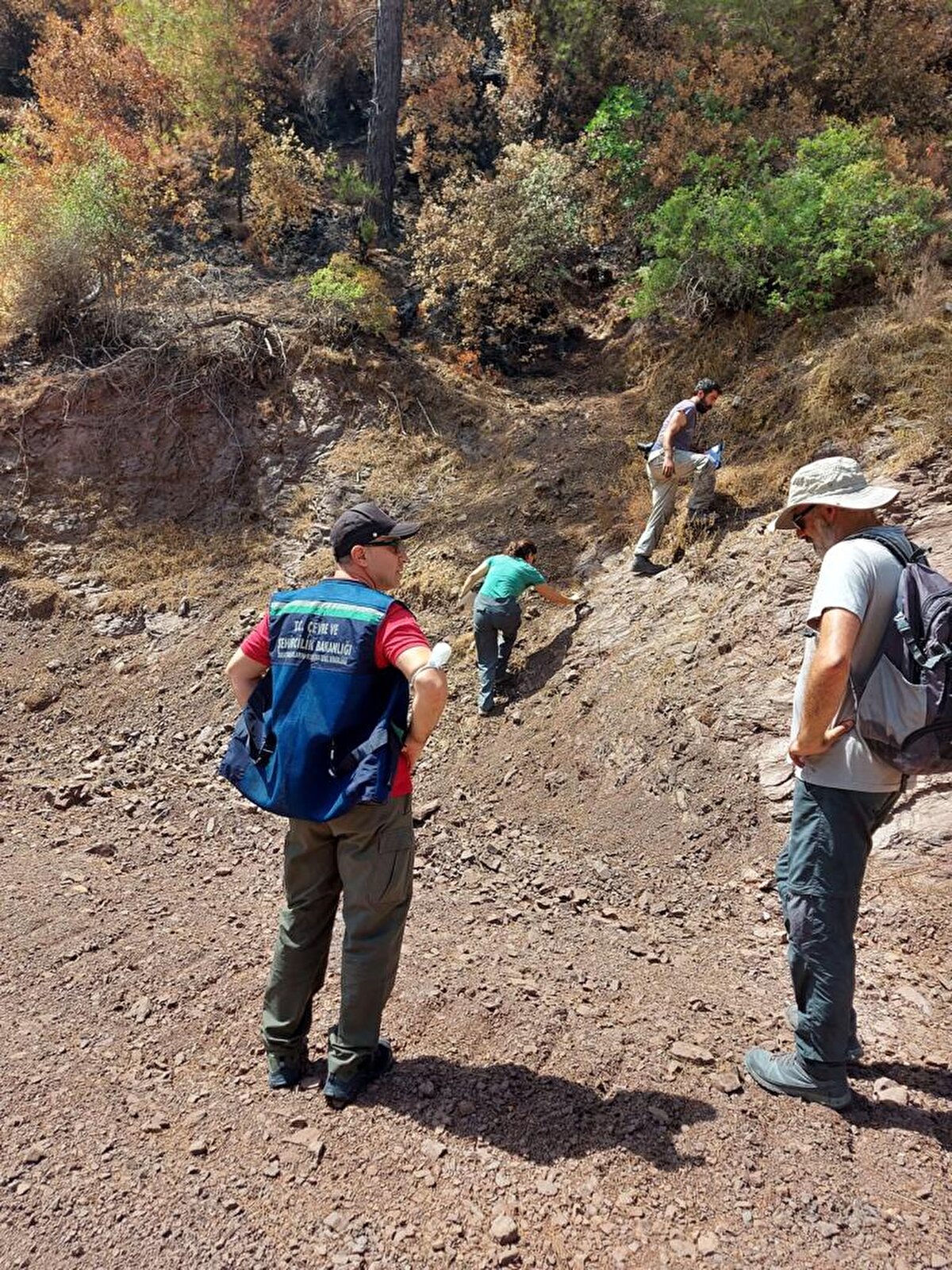 Araştırma ve izleme çalışmaları ilerleyen aylarda da devam edecek ve yangın bölgelerindeki gelişmeler yakından takip edilecek.

