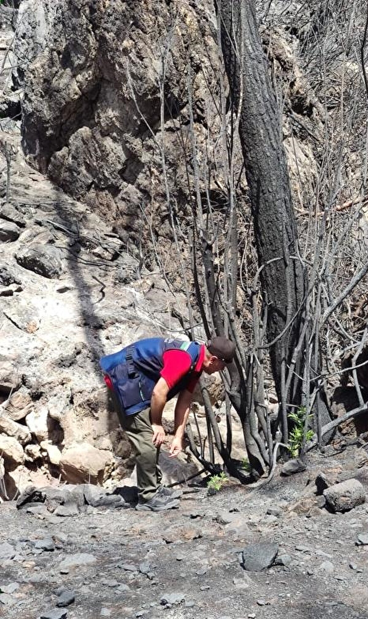 Çalışma kapsamında, ağaçların ve çalıların sürgün verme durumları da incelenerek gelecek günlerde neler yapılabileceği tespit ediliyor.

