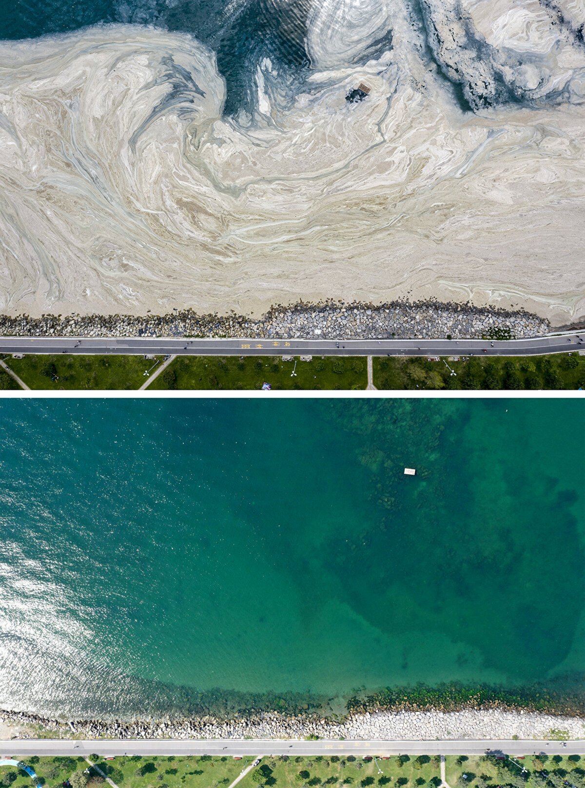 Bu kapsamda, 8 Haziran'da, Marmara'ya kıyısı olan kentlerde eş zamanlı "Müsilaj Temizliği Seferberliği" başlatıldı.