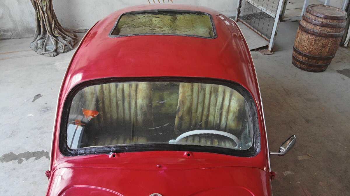 Türkiye'de ilk defa tasarlanarak Eskişehir'de üretilen 'Vosvos Akvaryum', dünyanın en büyük akvaryumlarından biri olarak bilinen Abu Dabi'deki The National Aquarium'da ziyaretçileriyle buluşmak için gün sayıyor.