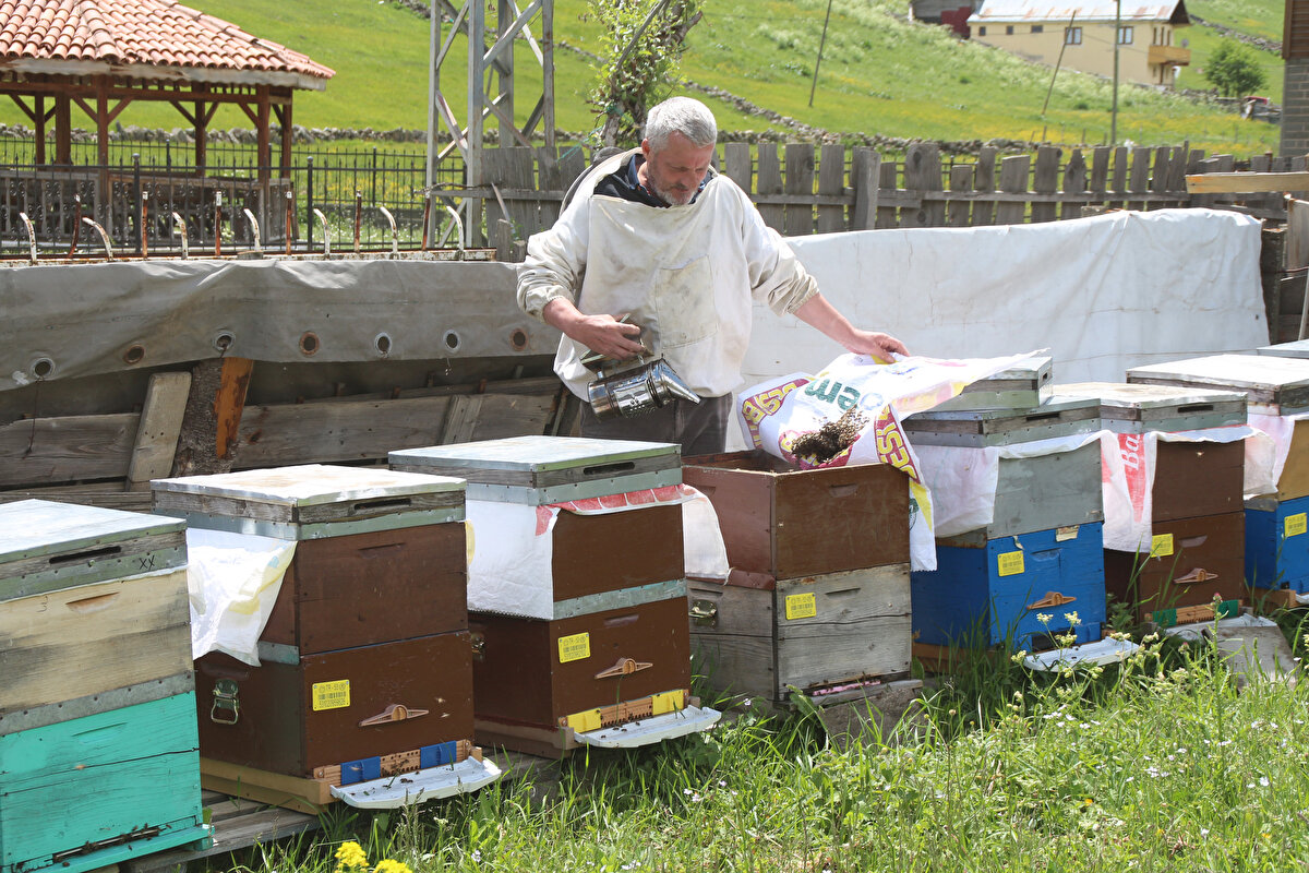 Ballar tahlil için Ankara'da Hacettepe Üniversite'sine gönderildi.
