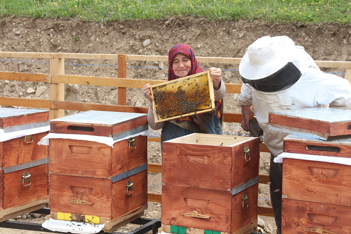 Anzer balı için şu ana kadar ise 1 ton sipariş alındı.