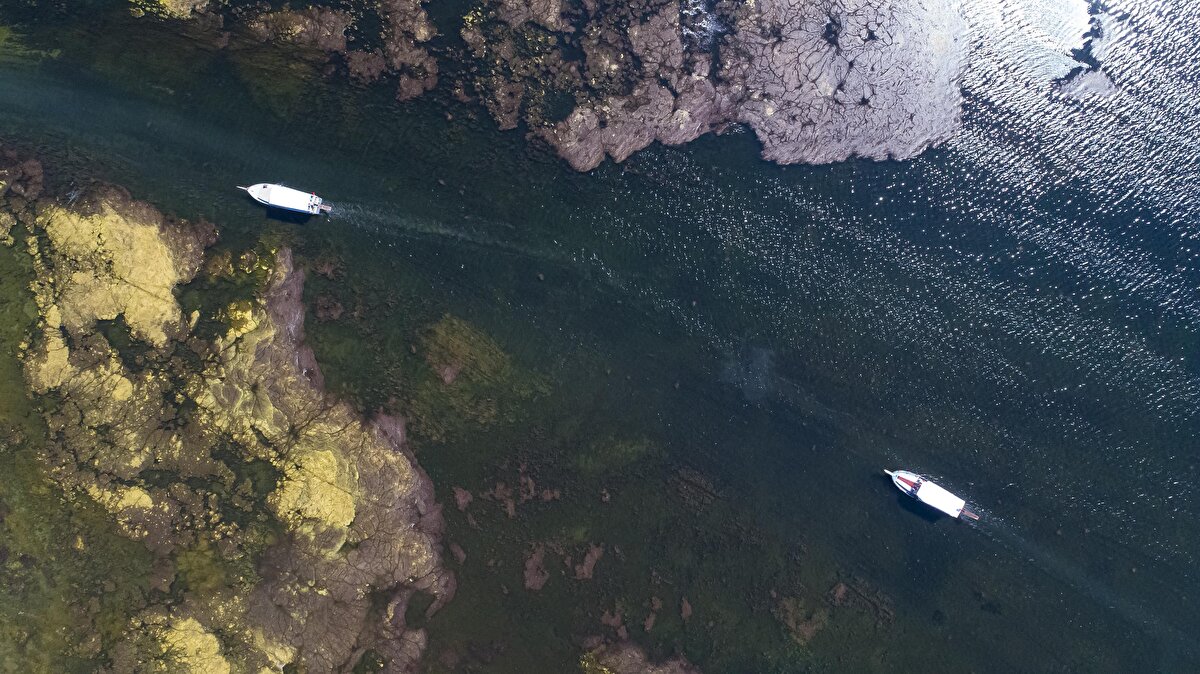 Hasan Kurt, tedbirler alınmazsa Beyşehir Gölü'nün önümüzdeki yıllarda tamamen kuruyabileceğine dikkat çekerek, ''Ciddi bir kaynak sağlanmadığı sürece ve eğer bu yıl da ciddi bir kışımız olmazsa, Beyşehir Gölü’nü herkes yok saysın. Göl önceden can çekişiyordu, şu anda ölme derecesine geldi. Eğer Beyşehir Gölü'nü istiyorsak, uzman ekipler gelip gölde, geniş kapsamlı inceleme yapıp acil eylem planı yapılması lazım.