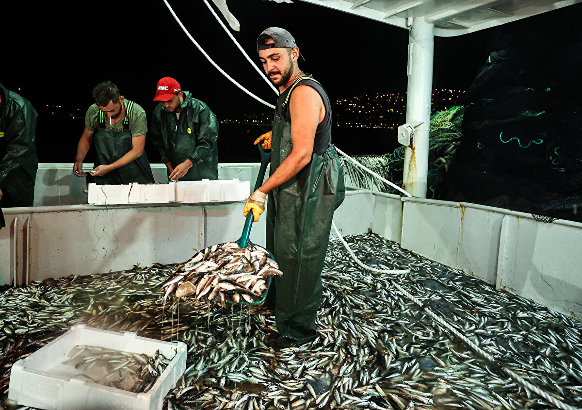 2021 yılının Nisan ayında av yasağının gelmesiyle gırgır ve trol yöntemi ile avcılığa ara verilmişti.

