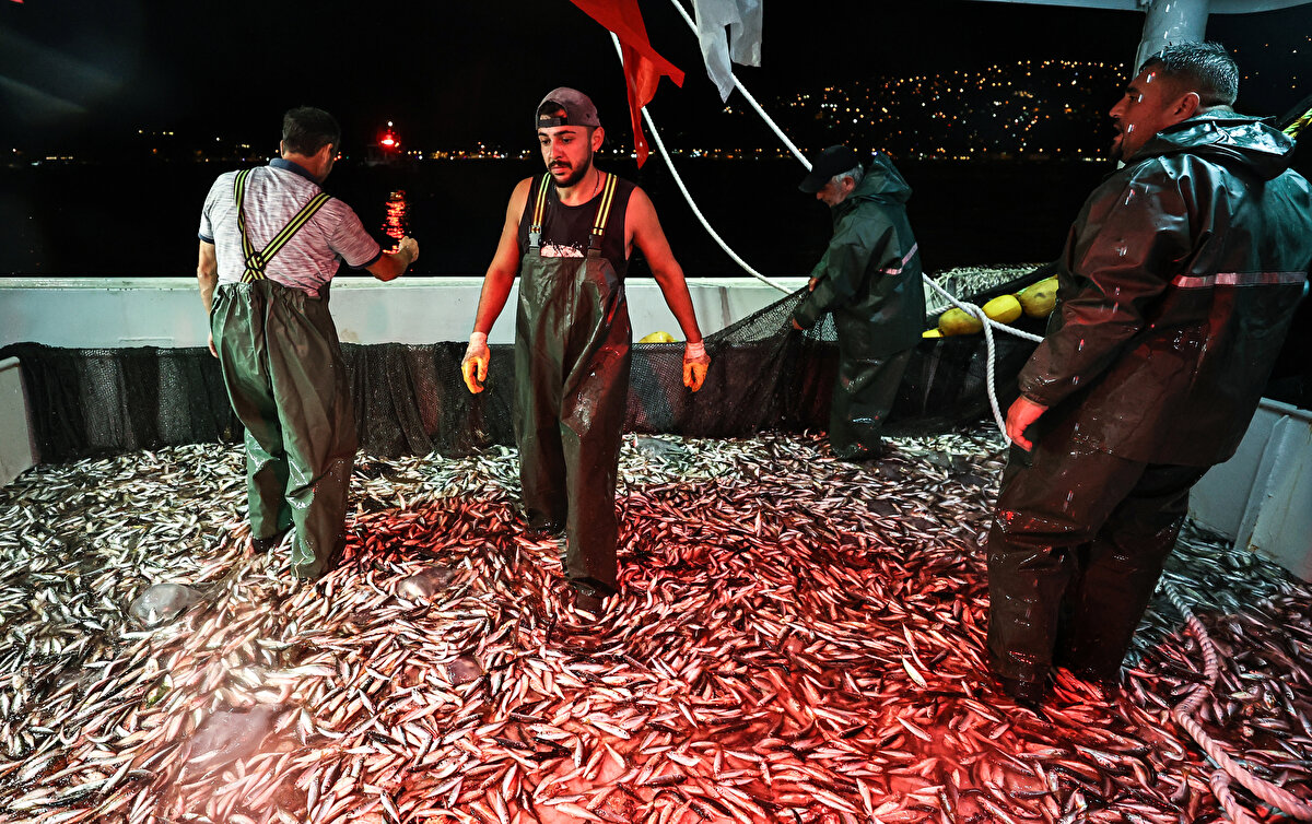 Perşembe Balıkçılar Kooperatifi Başkanı Ünal Karadeniz, gazetecilere, ağlar ile teknelerin bakımlarını yaparak sezona hazırlandıklarını söyledi.

Karadeniz, geçen yıl iyi olan palamut avcılığının, bu sene yarısı kadar da olsa mutlu olacaklarını anlatarak, hamsinin de iyi olacağını düşündüğünü belirtti.