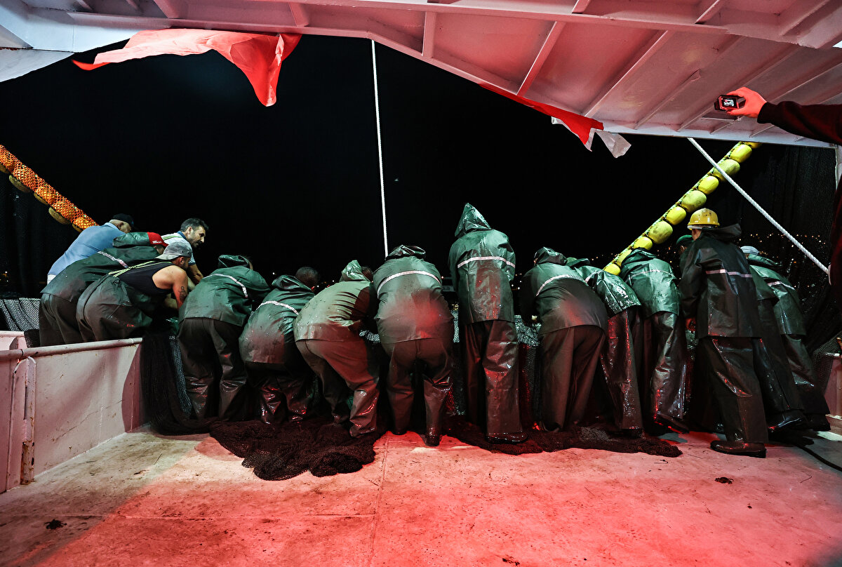 İstavritin bugünkü fiyatı burada 25-30 lira civarında Balık Hali'nden çıkışı var. Tezgahlarda bu 50-60 liraya kadar çıkabilir. Çünkü üzerlerine maliyetleri biniyor, işçilikler biniyor. Tekir şu anda burada 50 lira 60 lira. Tezgahlarda 80-90 liraya kadar çıkabilir."


