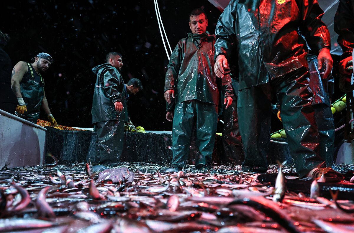 Denizden istavrit avıyla kıyıya dönen balıkçı teknesinin sahibi Serkan Karadeniz, hazırlıkların ardından bugün denize çıktıklarını dile getirdi.

Bereketli bir gece olduğunu ve istavrit balığı avladıklarını anlatan Karadeniz, şunları kaydetti:

"İnşallah sezonumuz iyi geçecek gibi görünüyor. Hamsi ve istavrit var, numuneleri denizde görünüyor. Palamut az gibi görünüyor ama benim tahminin palamut da olacak. Balık çeşidi bu sene bol olacak. Deniz öyle gösteriyor. İnşallah bereketli olur. Kazasız belasız bir sezon bitiririz. Avlanmamız da iyiydi. İstavrit balığı var. Şu anda bir ağ attık, yaklaşık 250 kasa balık aldık."