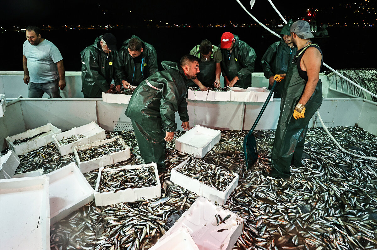 15 Nisan'da başlayan av yasağı sona erdi. Sezonu açan balıkçılar, gece yarısından itibaren "vira bismillah" diyerek denize açıldı. Kasalarla hale alınan balıklar mezat usulü satışa çıkarıldı.
