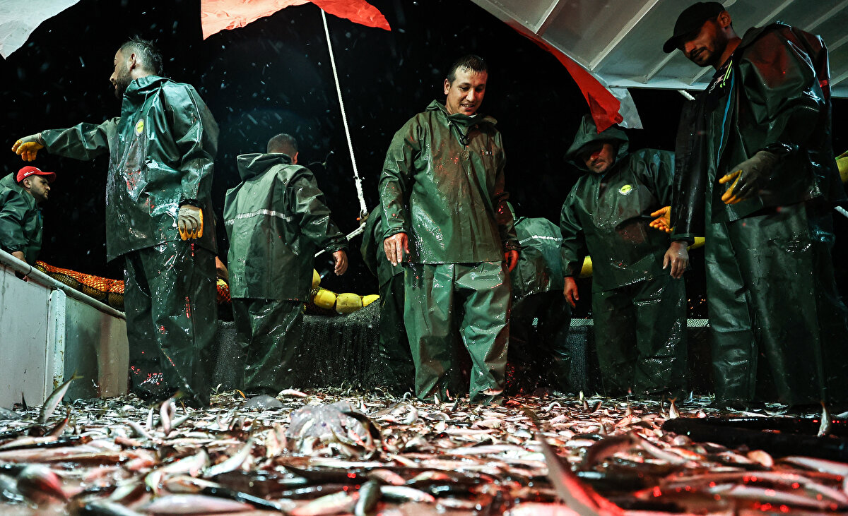 İstanbul'da Gürpınar Balık Hali'nde komisyonculuk yapan Volkan Çimen “Tabii ilk ağlar sayılır, istavritin kilosu 15,20,25 lirayı bulabilir. İlerleyen günlerde fiyatlar kesinlikle düşecektir. bu ilk gün yani bununla bütün sezonu kıyaslamak yanlış olacak" dedi. 