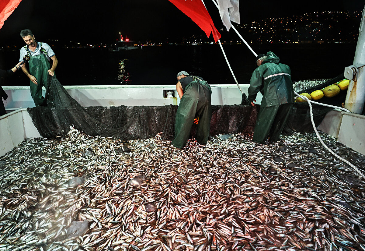 Denize açılarak ağlarını bırakıp nasiplerini arayan balıkçılar, bol miktarda istavritle kıyıya döndü.

