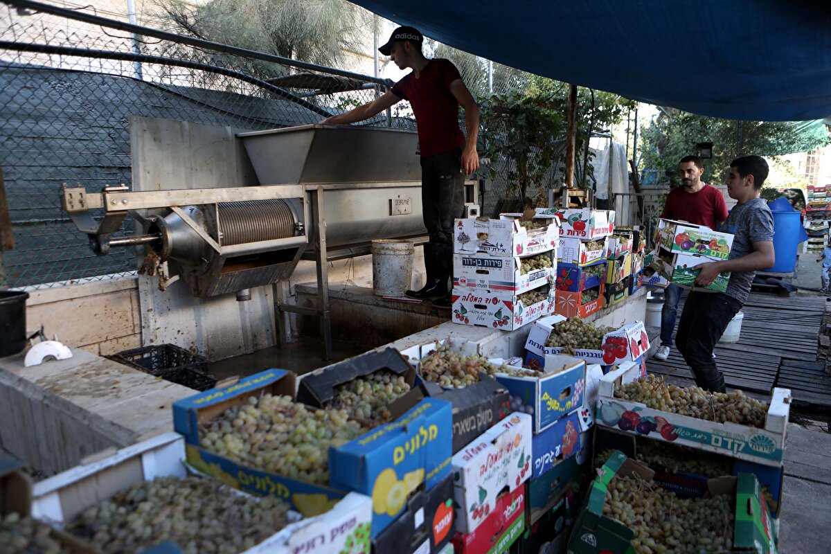 Ebu Ayaş, salgının yanı sıra İsrail güçlerinin bu arazilere el koyması gibi Filistinli çiftçilerin yaşadığı sorunlara da işaret etti.