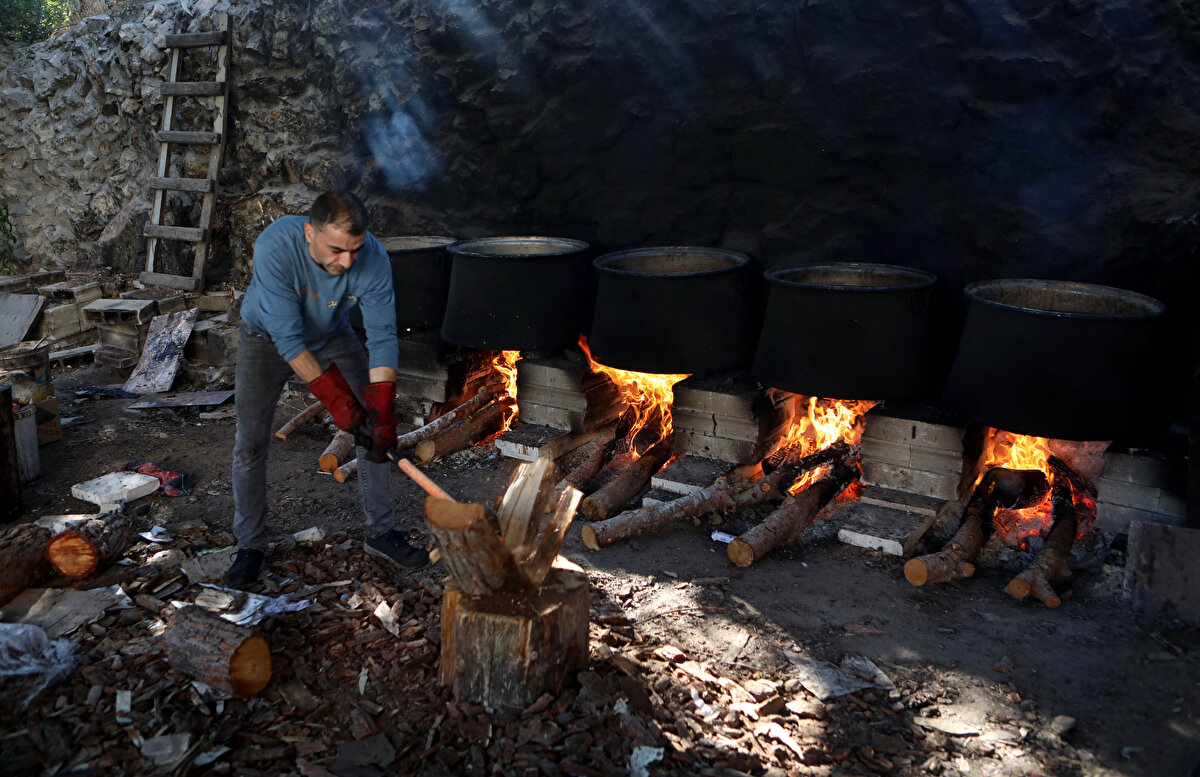 Filistin Üzüm Konseyi verilerine göre, bu yılki üretimin 50 bin ton olduğu tahmin ediliyor. Bu miktarın yarısından fazlası 27 bin ton ile yalnızca El-Halil kentinde üretiliyor.  Konsey Başkanı Rıdvan Ebu Ayaş da konuyla ilgili yaptığı açıklamada, Gazze Şeridi ve Batı Şeria'da 63 bin dönümlük arazide üzüm yetiştiriciliği yapıldığını söyledi.