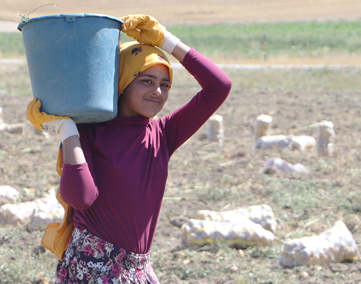 Bu yıl lise birinci sınıfa gidecek olan Rozalin Dizlek (14), "Bu yıl ilk kez çalışıyorum. Borcumuz var ondan buradayız. Lise bire gidiyorum. Okullar açılıyor ama galiba gidemeyeceğim. Patates bitene kadar buradayız. Hem borçlarımız var hem de okul harçlığımı biriktirmek için çalışmak zorundayız. 8 kardeşiz dördümüz burada anne ve babamızla birlikte çalışıyoruz" dedi.