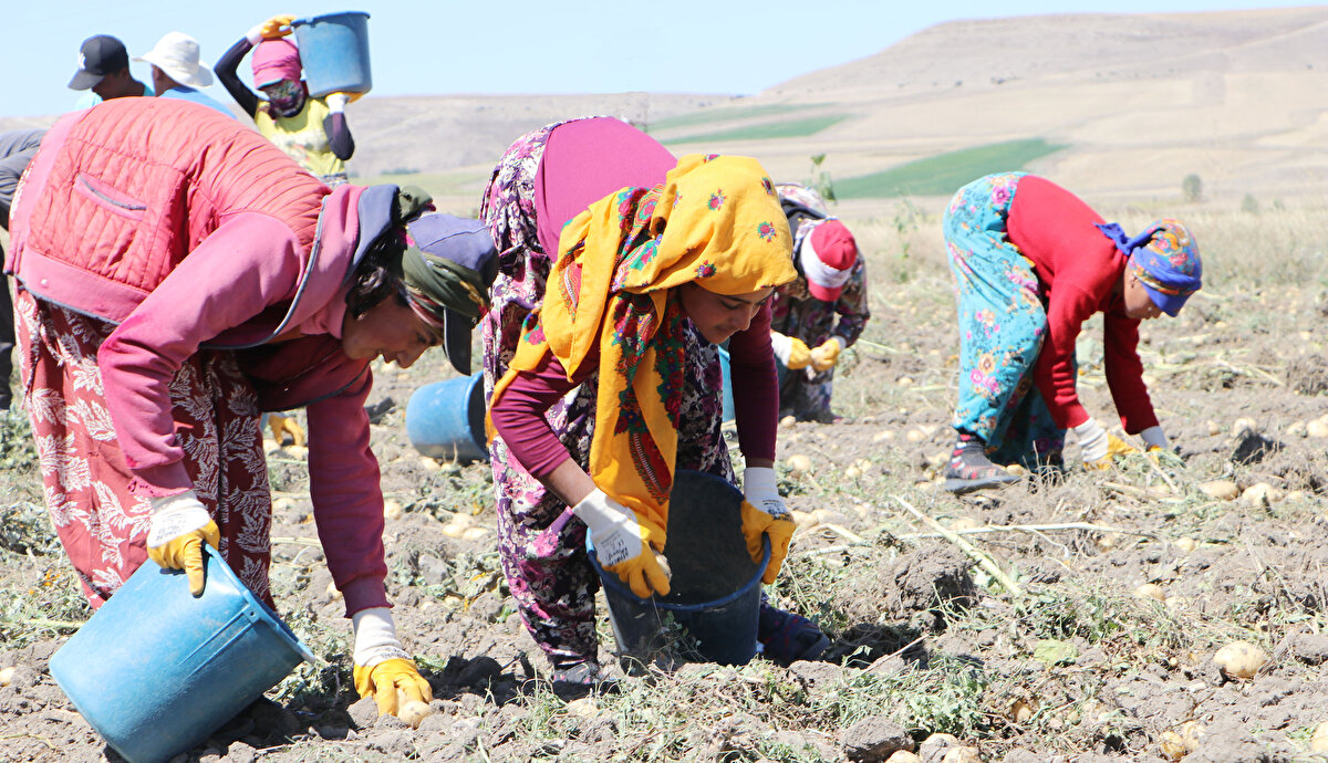 Rozalin'in annesi Fatma Dizlek ise pandemi nedeniyle geçen yıl fazla çalışamadıkları için borçlarının biriktiğini belirterek, "8 çocuğum var. Elimizde yok, durumumuz kötü. Borçlarımız var. Mecburuz çalışmaya. Çalışmazsak açlıktan ölürüz. Çocukları zamanında okula gidememesine üzülüyorum. 20 yıldır ben tarlalarda çalışıyorum" diye konuştu.