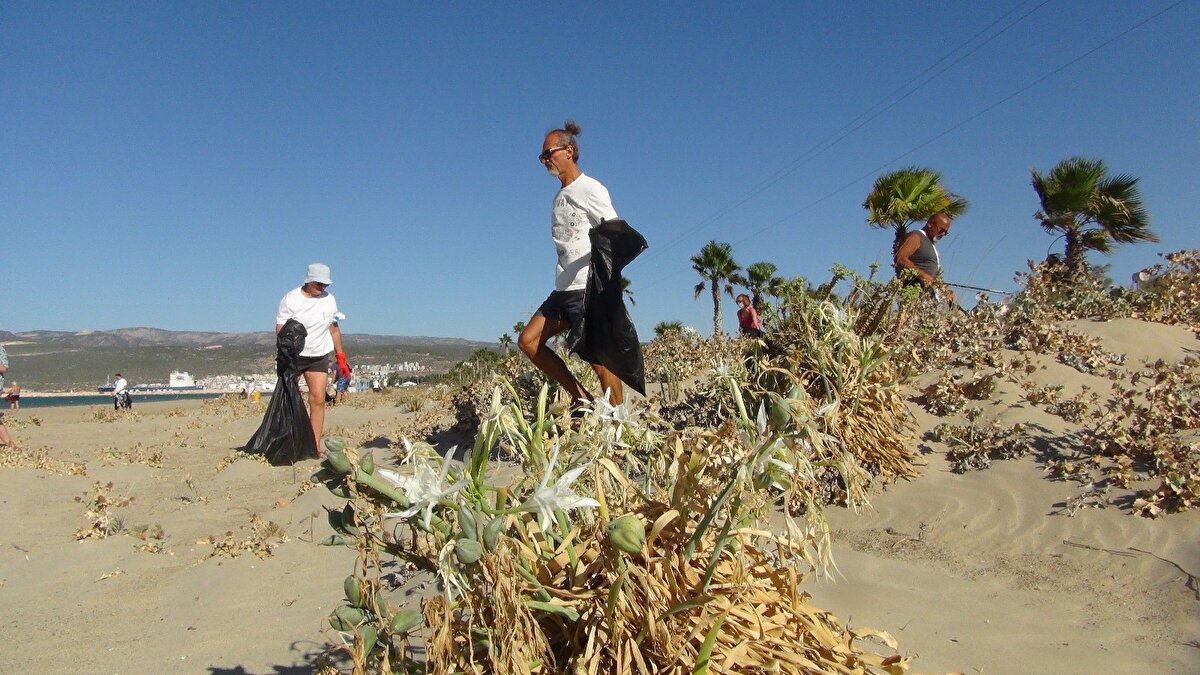 Türkiye’nin birçok yerinde kumsallarda bulunan bitkinin, Dünya Doğa Koruma Birliği’nce koruma altında olduğu biliniyor.  Kum zambağını koparmanın cezası ise 80 bin TL.
