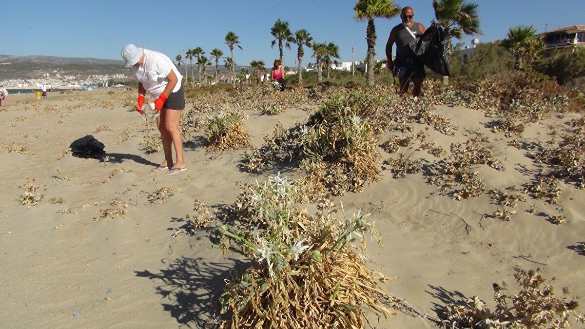 Silifke'de Kum Mahallesi'nde denize giren vatandaşları uyaran Silifke Belediye Başkanı Sadık Altunok, "Kum mahallesinde denize akın eden vatandaşlara uyarılarda bulunuyoruz. Kum zambakları, yazın en sıcak aylarında çiçek açan bir bitkidir" dedi.
